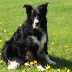 Meet your Posher, Micheal